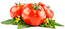 Red Tomato